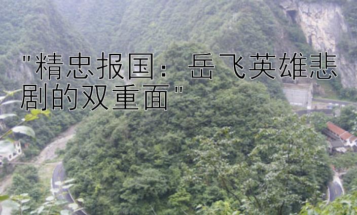 精忠报国：岳飞英雄悲剧的双重面