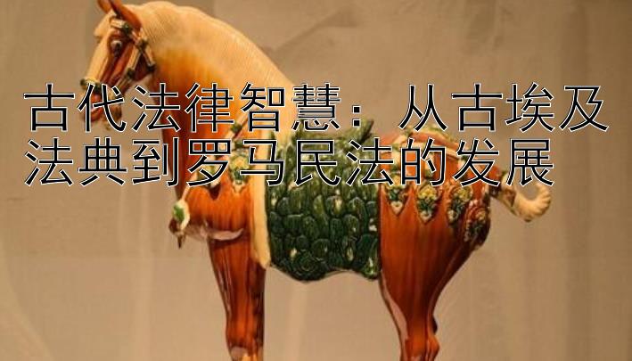 古代法律智慧：从古埃及法典到罗马民法的发展