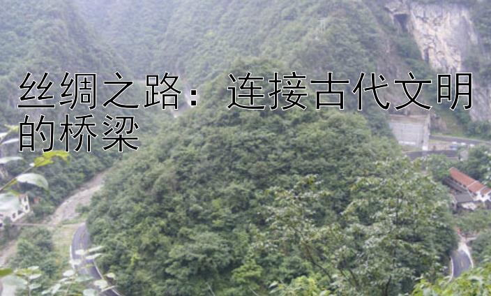 丝绸之路：连接古代文明的桥梁