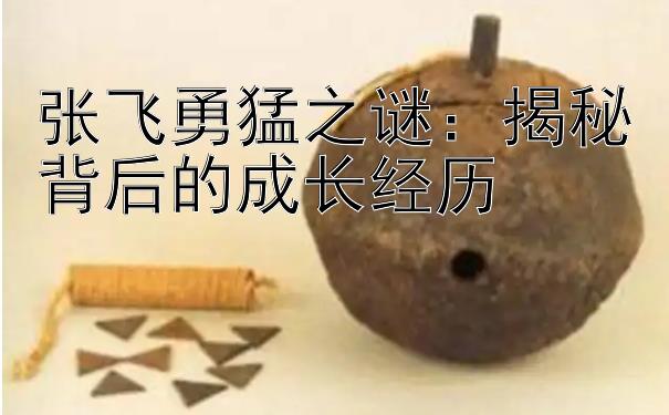 张飞勇猛之谜：揭秘背后的成长经历