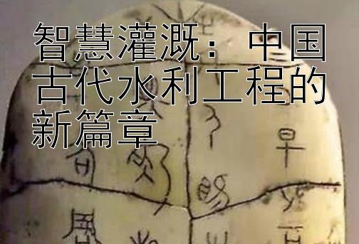 智慧灌溉：中国古代水利工程的新篇章