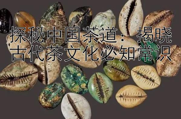 探秘中国茶道：揭晓古代茶文化必知常识