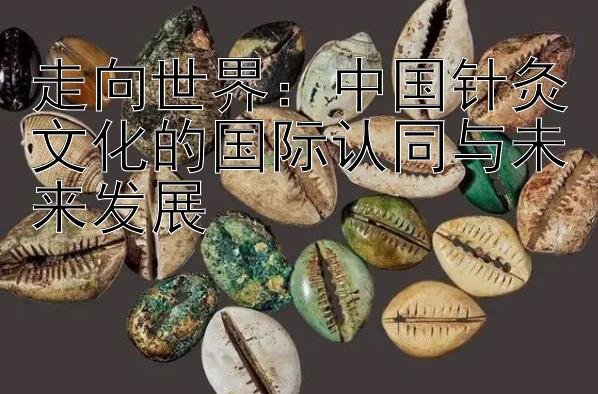 走向世界：中国针灸文化的国际认同与未来发展