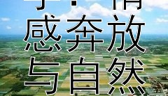 探索欧洲浪漫主义文学：情感奔放与自然崇尚的交响